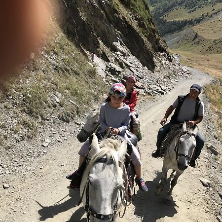 Samtsikhe Otel Dartlo Dış mekan fotoğraf