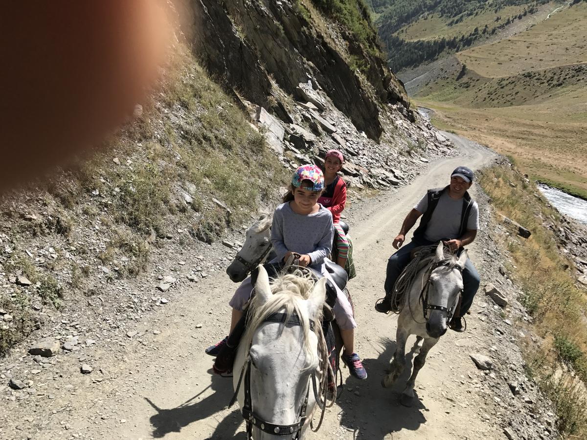 Samtsikhe Otel Dartlo Dış mekan fotoğraf