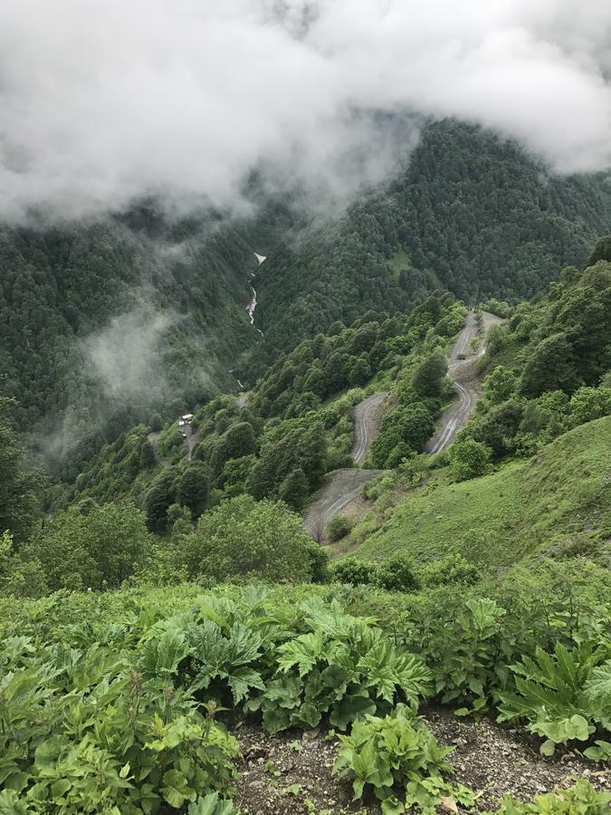 Samtsikhe Otel Dartlo Dış mekan fotoğraf